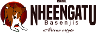 nheengatubj.com.br