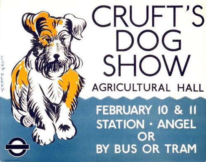 BASENJI NA EXPOSIÇÃO CRUFTS / BASENJI AT THE CRUFTS EXHIBITION
